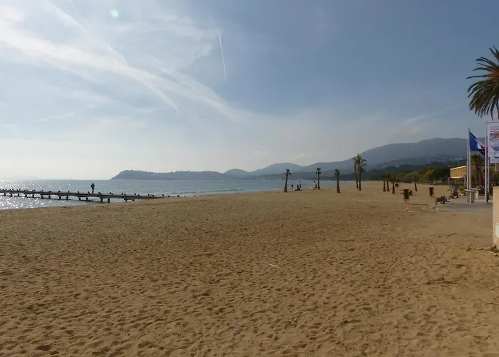 Appartement Face A La Mer